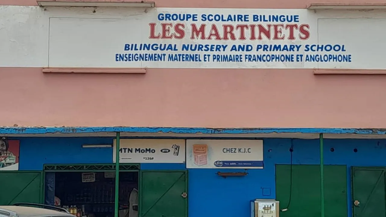Groupe_scolaire_les_martinets_Yaound_.jpg
