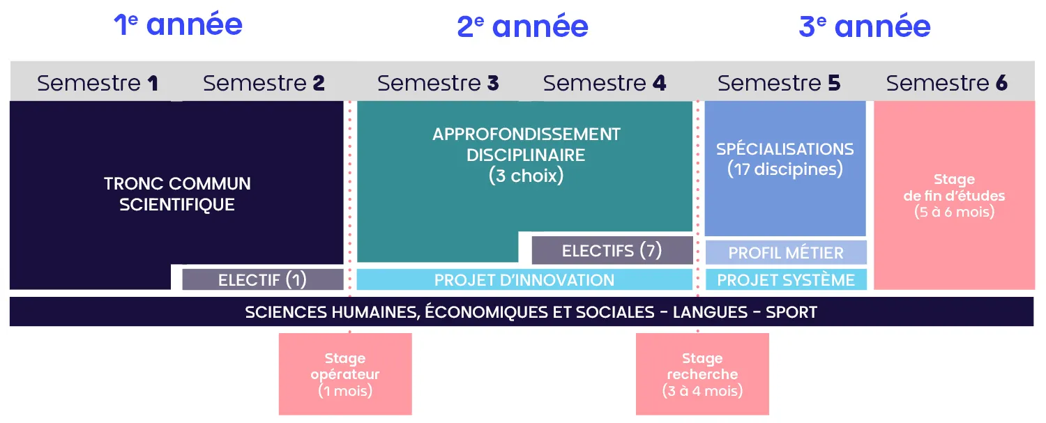 Organisation générale de la formation sur 3 ans, séquencée par semestre incluant un tronc commun scientifique en 1ère année, des electifs en semestre 2 et 4, un aprofondissement disciplinaire à partir du semestre 3, une spécialisation au semestre 5 et des stages aux semestre 2, 4 et 6.
